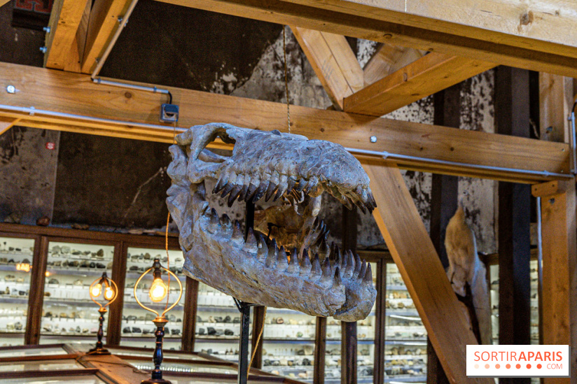 Un dinosaure géant au Château de Dampierre - Jurassique au Château de Dampierre -  A7C8908