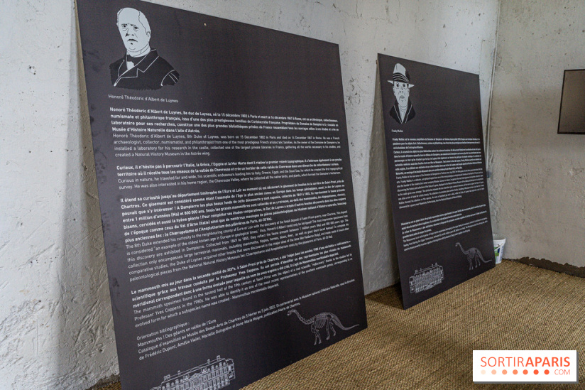 Un dinosaure géant au Château de Dampierre - Jurassique au Château de Dampierre -  A7C8904