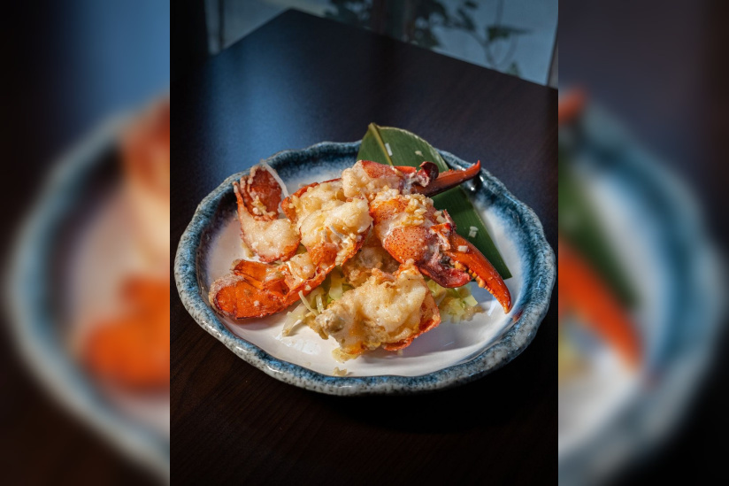 Campagne #33610 - 358013453 688444726628746 904374060728429672 n