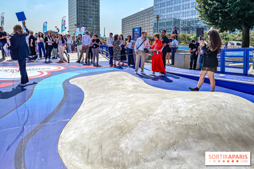 Saint-Gobain Skate Game