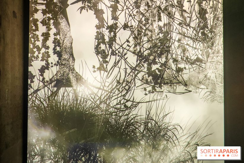 Decoding Korea : l'art numérique et contemporain coréen se dévoile au Grand Palais Immersif - IMG20240725151450