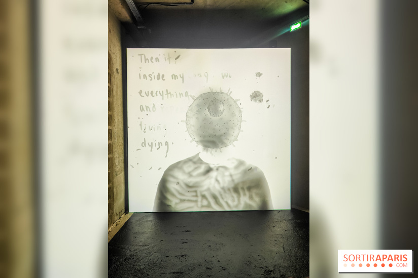 Decoding Korea : l'art numérique et contemporain coréen se dévoile au Grand Palais Immersif - IMG20240725153548