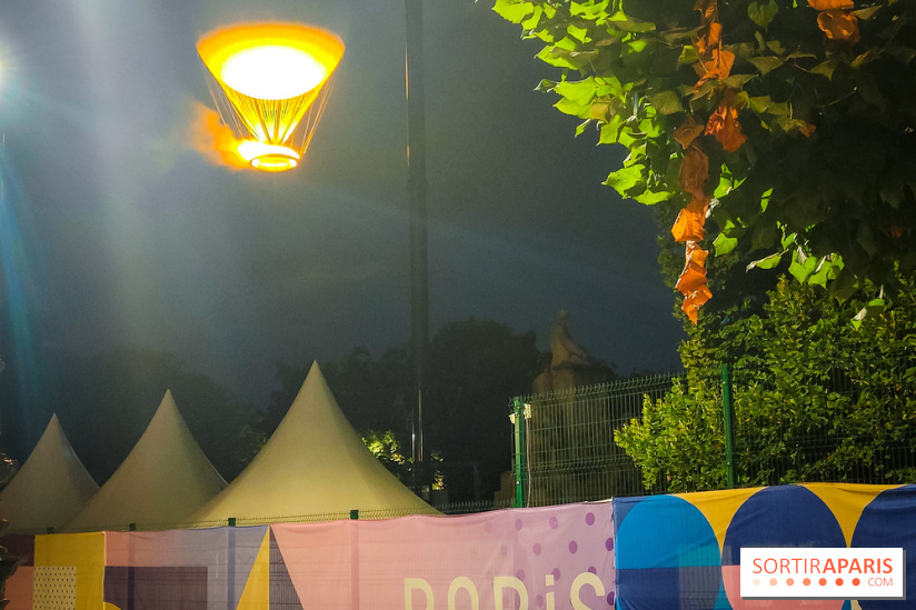 Vasque olympique JO de Paris 2024 - IMG20240727234513