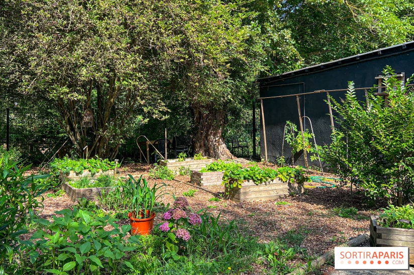 Camping Paris Maisons-Laffite - image00035