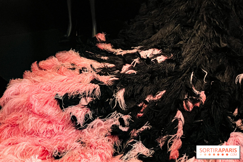 JO paris 2024 : Les tenues de scène de Lady Gaga, Aya Nakamura et Céline Dion exposées à la Galerie Dior  - image00004