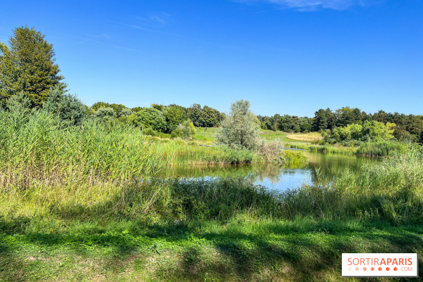 Le parc Georges-Valbon de la Courneuve - nos photos - image00012