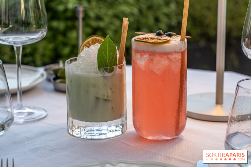 La terrasse dans un jardin avec vue Tour Eiffel du Marguerite 1606 au Domaine de la Reine Margot -  A7C1341