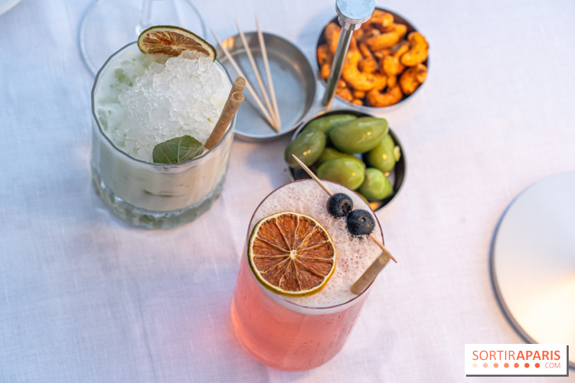 La terrasse dans un jardin avec vue Tour Eiffel du Marguerite 1606 au Domaine de la Reine Margot -  A7C1343