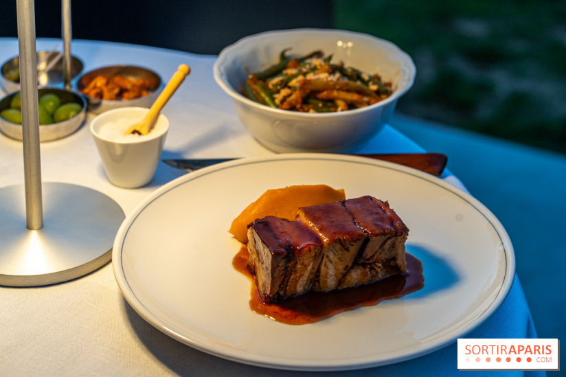 La terrasse dans un jardin avec vue Tour Eiffel du Marguerite 1606 au Domaine de la Reine Margot -  A7C1366