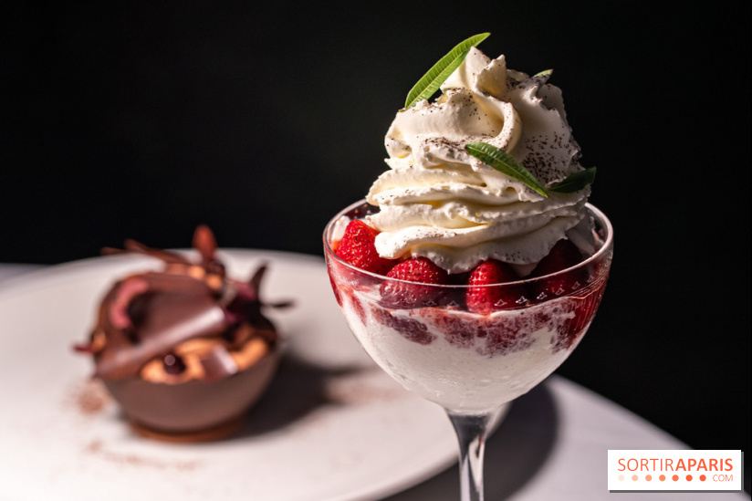 La terrasse dans un jardin avec vue Tour Eiffel du Marguerite 1606 au Domaine de la Reine Margot -  A7C1378