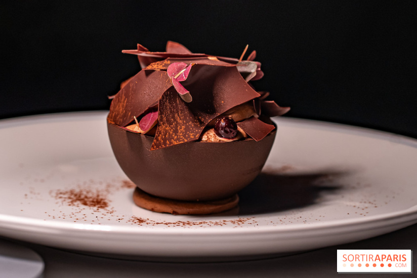 La terrasse dans un jardin avec vue Tour Eiffel du Marguerite 1606 au Domaine de la Reine Margot -  A7C1381