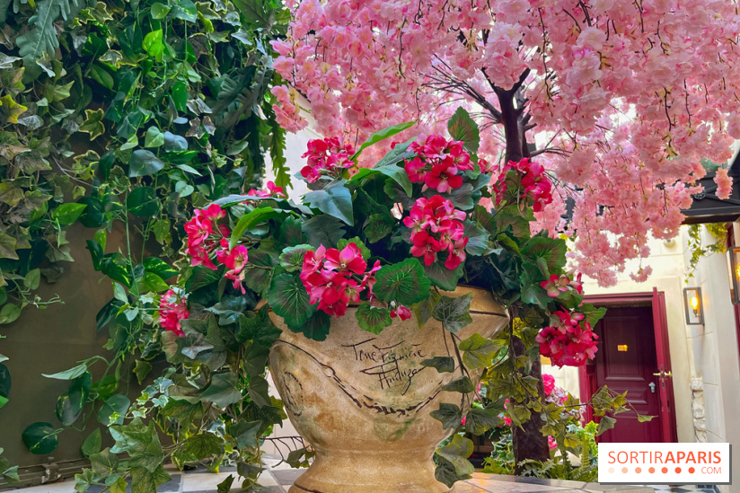 Maison Bohème - ,