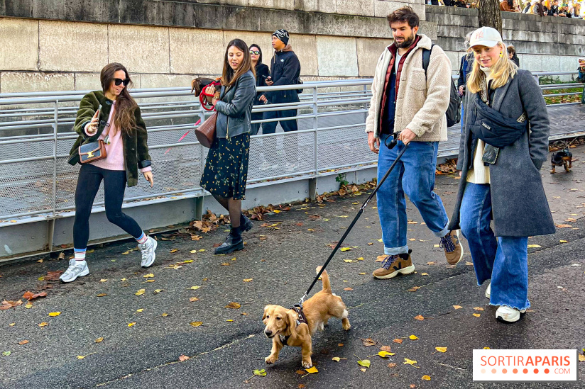 Paris Sausage Walk 2024 : la marche des teckels de retour dans la capitale - image00015