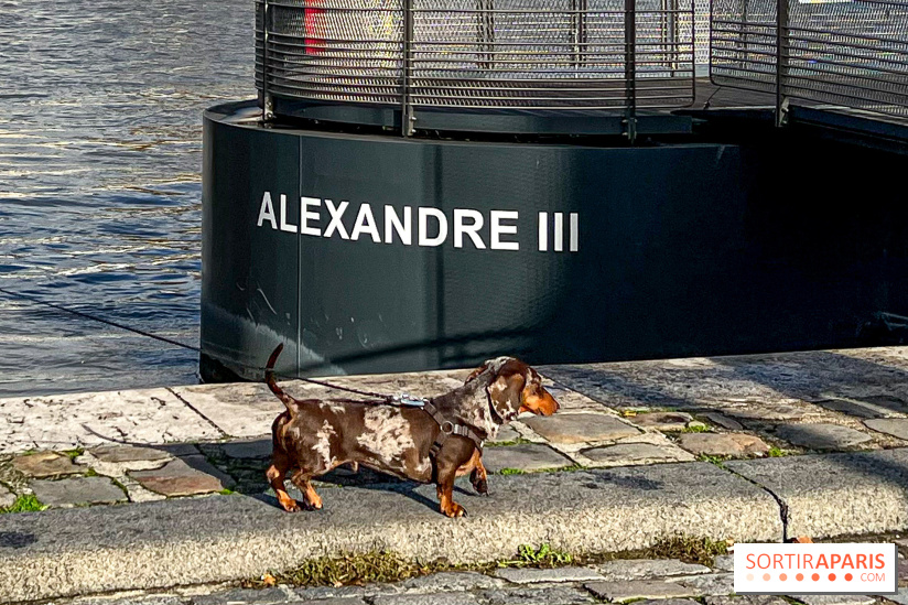 Paris Sausage Walk 2024 : la marche des teckels de retour dans la capitale - image00032