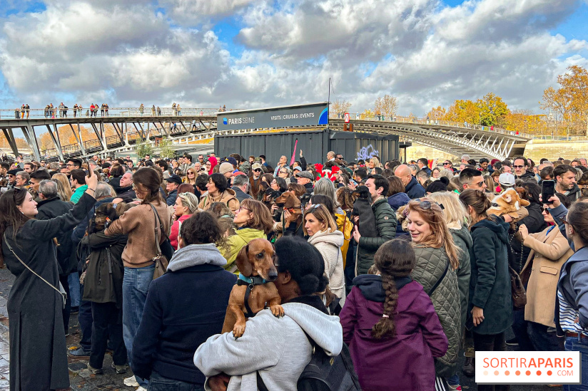 Paris Sausage Walk 2024 : la marche des teckels de retour dans la capitale - image00037