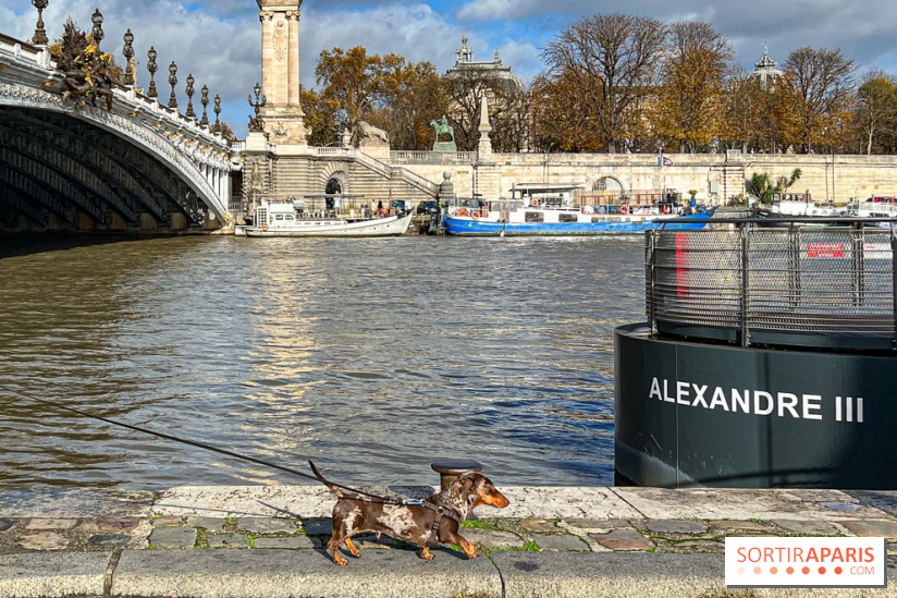 Paris Sausage Walk 2024 : la marche des teckels de retour dans la capitale - image00001