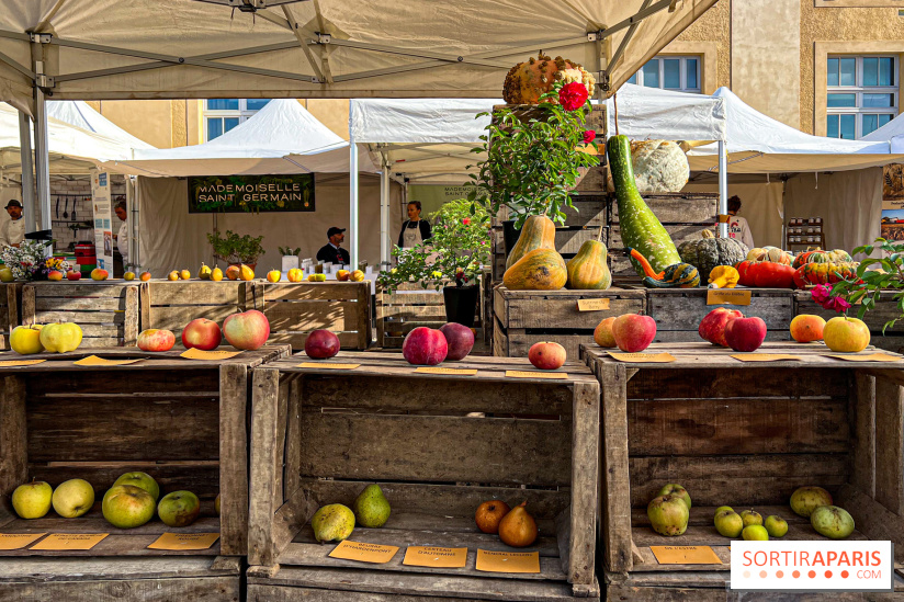 Les Saveurs du Potager du Roi à Versailles : marché de fruits & légumes, expositions et animations - image00005