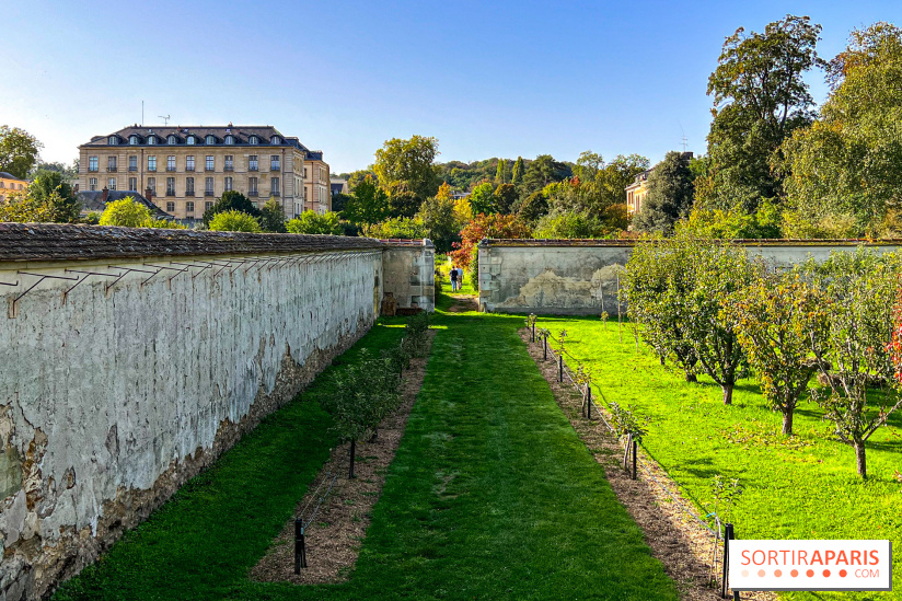 Les Saveurs du Potager du Roi à Versailles : marché de fruits & légumes, expositions et animations