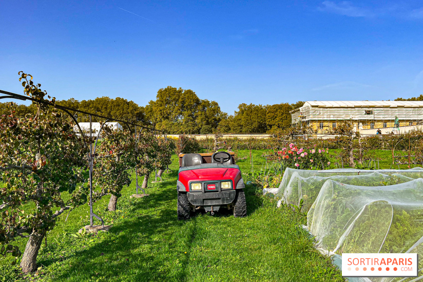 Les Saveurs du Potager du Roi à Versailles : marché de fruits & légumes, expositions et animations - image00060