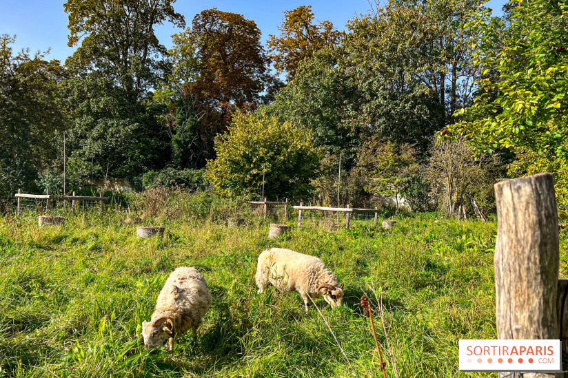 Les Saveurs du Potager du Roi à Versailles : marché de fruits & légumes, expositions et animations - image00079