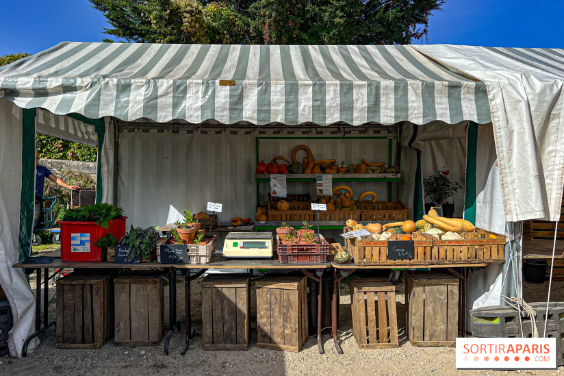 Les Saveurs du Potager du Roi à Versailles : marché de fruits & légumes, expositions et animations