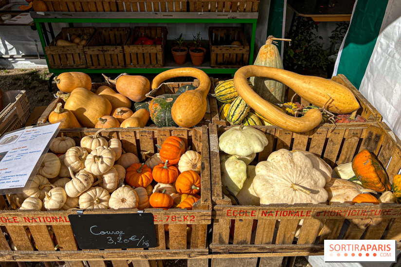Les Saveurs du Potager du Roi à Versailles : marché de fruits & légumes, expositions et animations - image00092