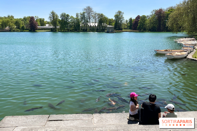 Etang aux carpes et barques - nos photos