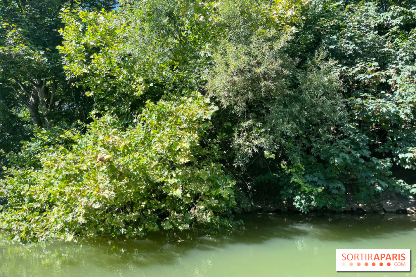 Marin d'eau douce Boulogne - nos photos