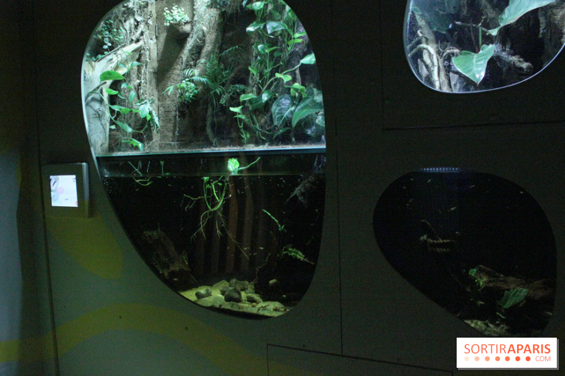 L'Arche des petites bêtes au Zoo de Thoiry