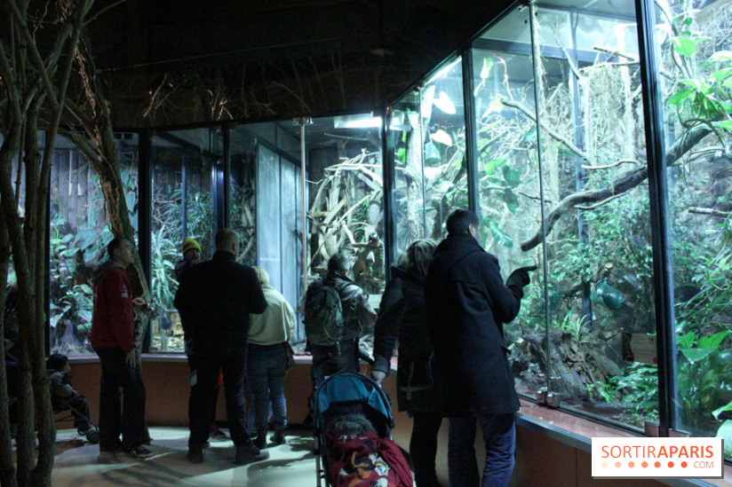 L'Arche des petites bêtes au Zoo de Thoiry