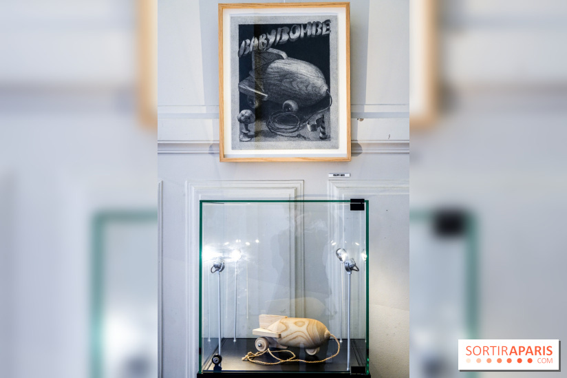 Renaud, des mots et des images, nos photos de l'expo