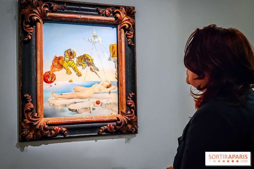 Le surréalisme : l'exposition exceptionnelle qui célèbre les 100 ans du mouvement au Centre Pompidou - IMG20240903162756