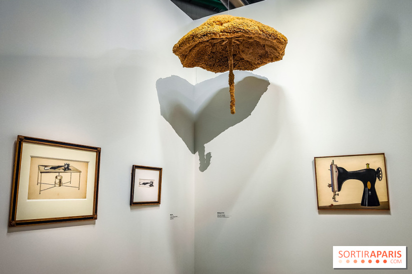 Le surréalisme : l'exposition exceptionnelle qui célèbre les 100 ans du mouvement au Centre Pompidou - IMG20240903162912