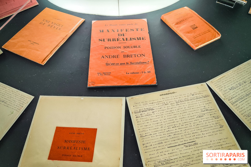 Le surréalisme : l'exposition exceptionnelle qui célèbre les 100 ans du mouvement au Centre Pompidou - IMG20240903165350