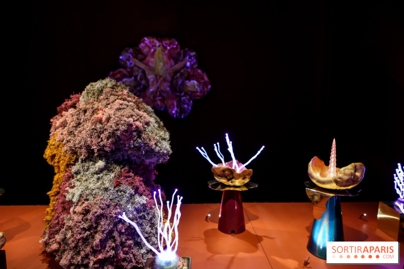 “Forêts astrales” : nos photos de l'exposition gratuite à voir à l'Institut suédois à Paris