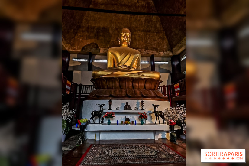 Asian Street Festival - les photos