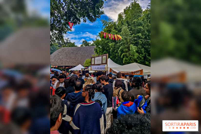 Asian Street Festival - les photos