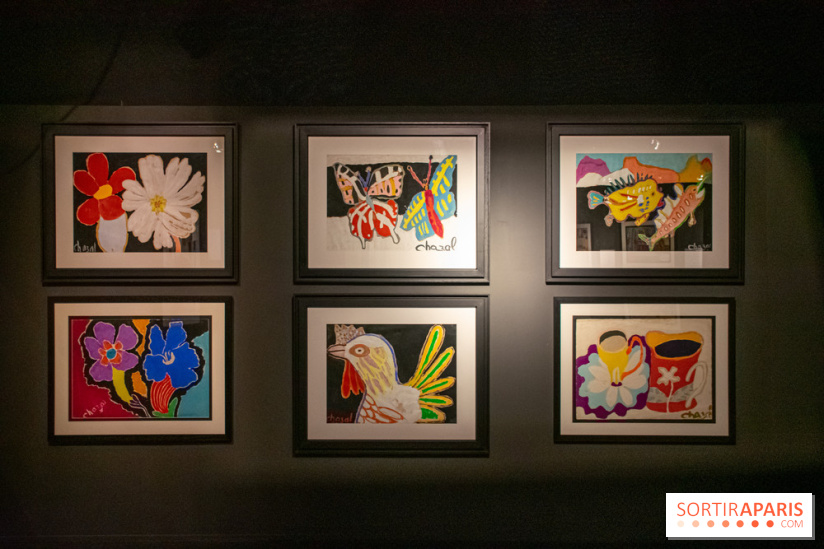 Exposition Malcolm de Chazal à la Halle Saint-Pierre