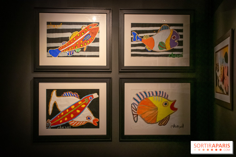 Exposition Malcolm de Chazal à la Halle Saint-Pierre