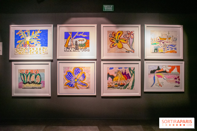 Exposition Malcolm de Chazal à la Halle Saint-Pierre