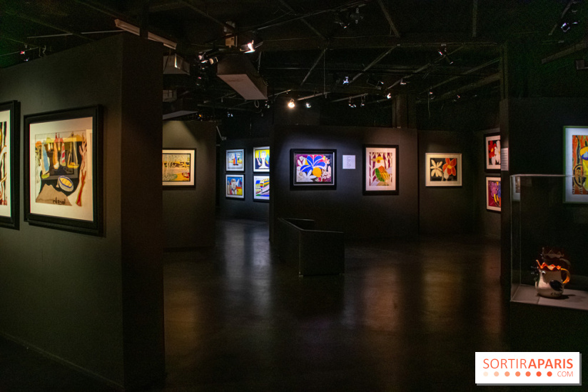 Exposition Malcolm de Chazal à la Halle Saint-Pierre