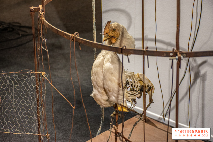 Exposition L'Electromécanomaniaque de Gilbert Peyre à la Halle Saint Pierre - DSC 1033