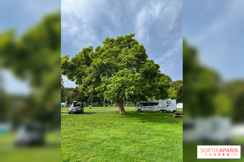 Parc Saint-Aubin Samoreau - nos photos - image00007