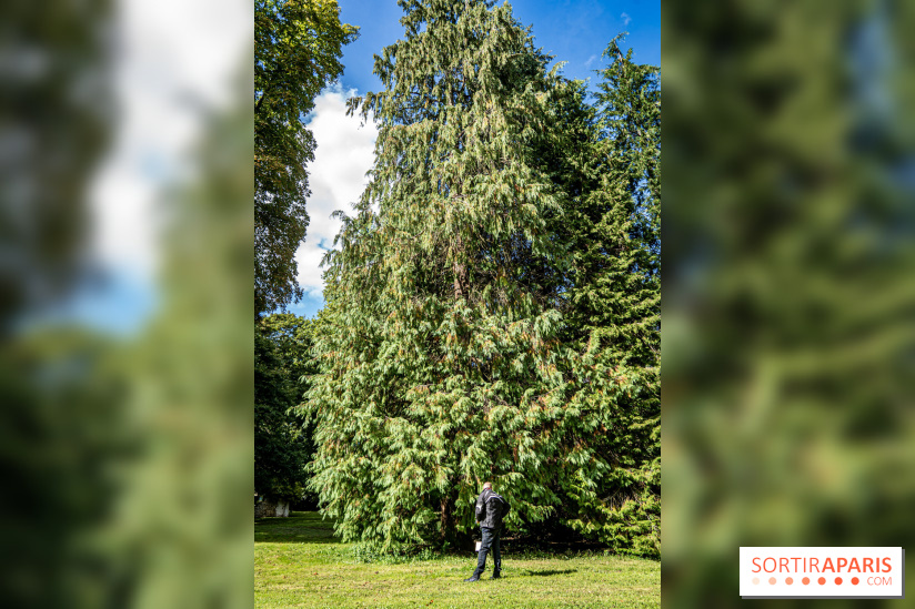 Le désert de Retz, le parc anglo-chinois insolite dans les Yvelines -  A7C2135