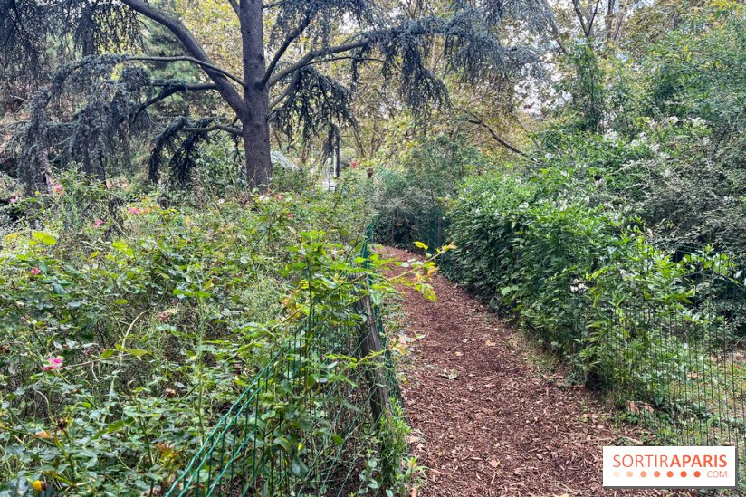 Square Sainte-Odile - nos photos - image00016