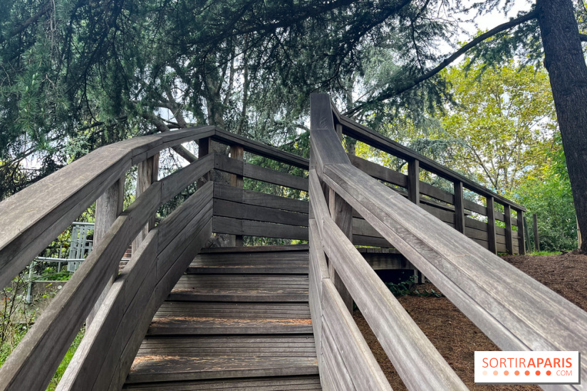 Square Sainte-Odile - nos photos - image00017