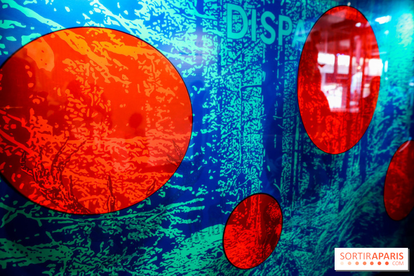 Speedy Graphito à Fluctuart, nos photos - IMG 6004