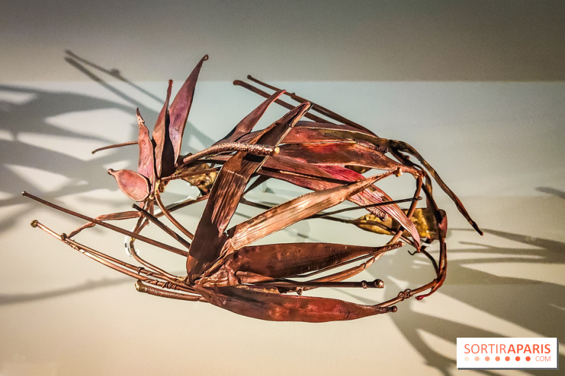 Les fleurs d'Yves Saint Laurent : l'exposition se dévoile en images au musée YSL
