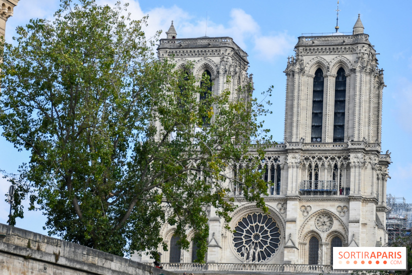 Une croisière privée en amoureux sur la Seine - DSC 2252