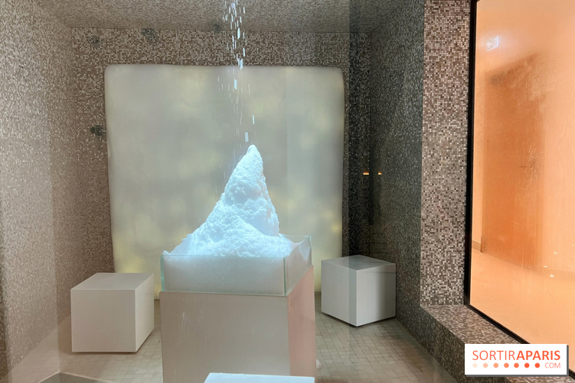 Dolce by Wyndham Versailles - Domaine du Montcel